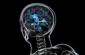 Το Εγκεφαλικό Υγρό και οι Κρυμμένες Δυνατότητες Το εγκεφαλικό υγρό σε σκίτσο